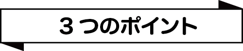ポイント